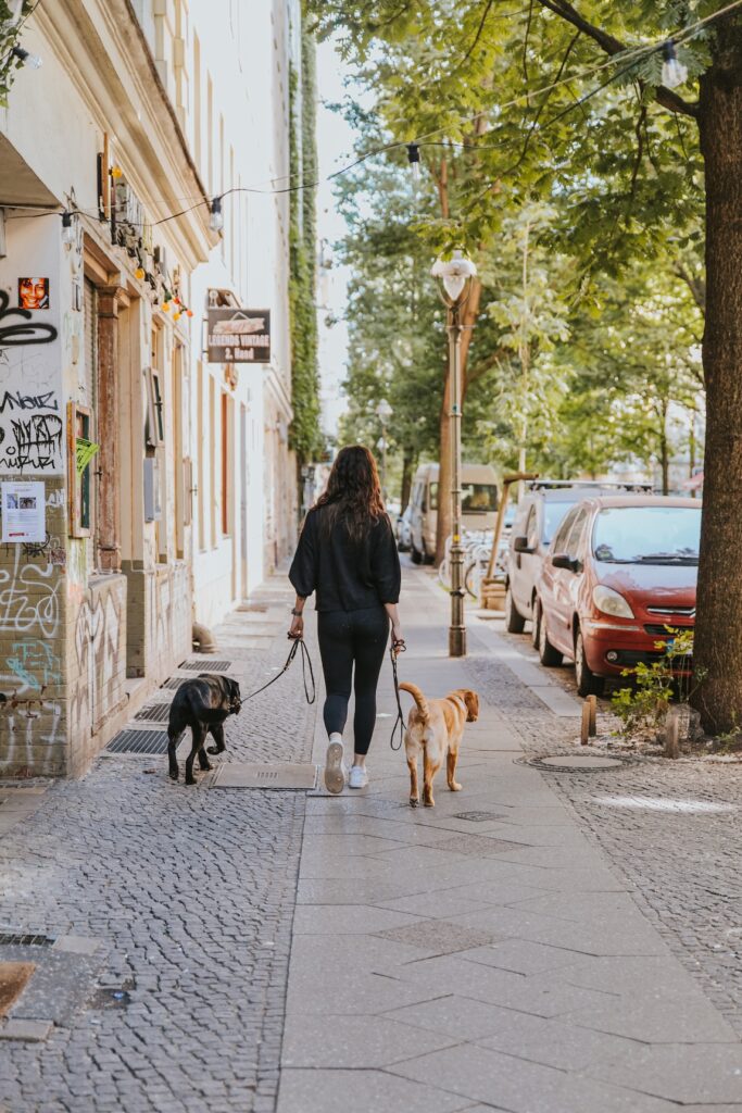 Frau geht mit zwei Hunden an lockerer Leine spazieren