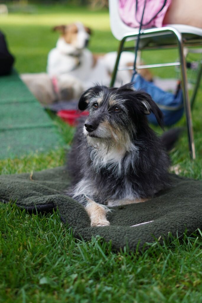 WhatsApp Image 2025-12-18 at 09.54.16